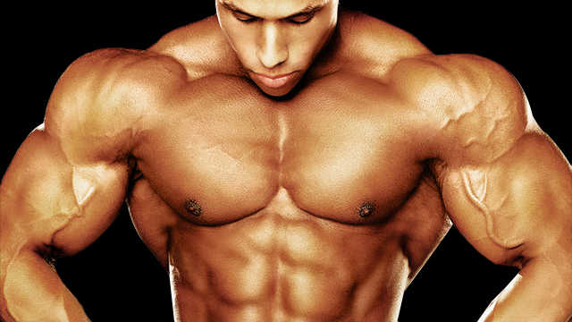 Muscle Growth Supplements
